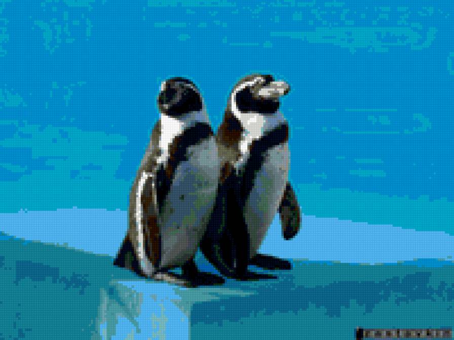 №16853 - предпросмотр