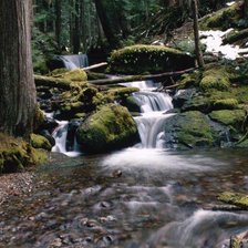 Схема вышивки «Природа»