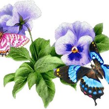 Оригинал схемы вышивки «Цветы и бабочки» (№17302)