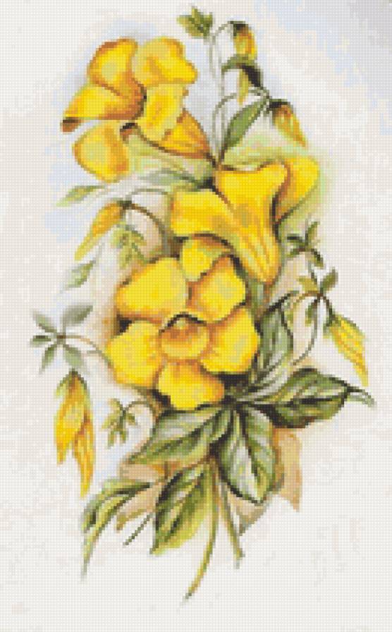 Цветы - цветы, открытка - предпросмотр