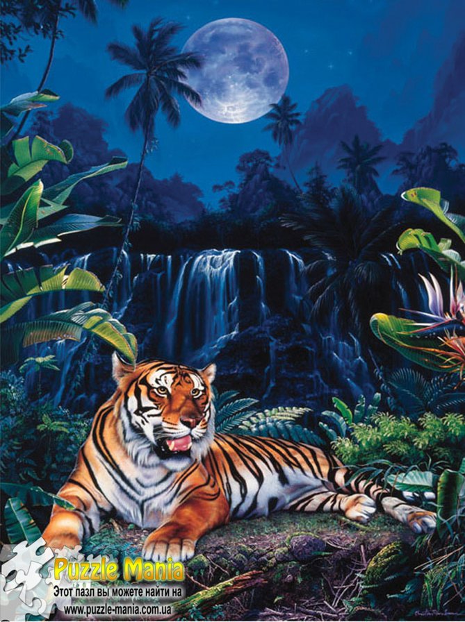 Тигр - тигр - оригинал