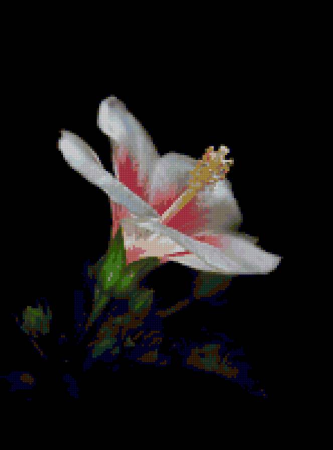 №17835 - предпросмотр