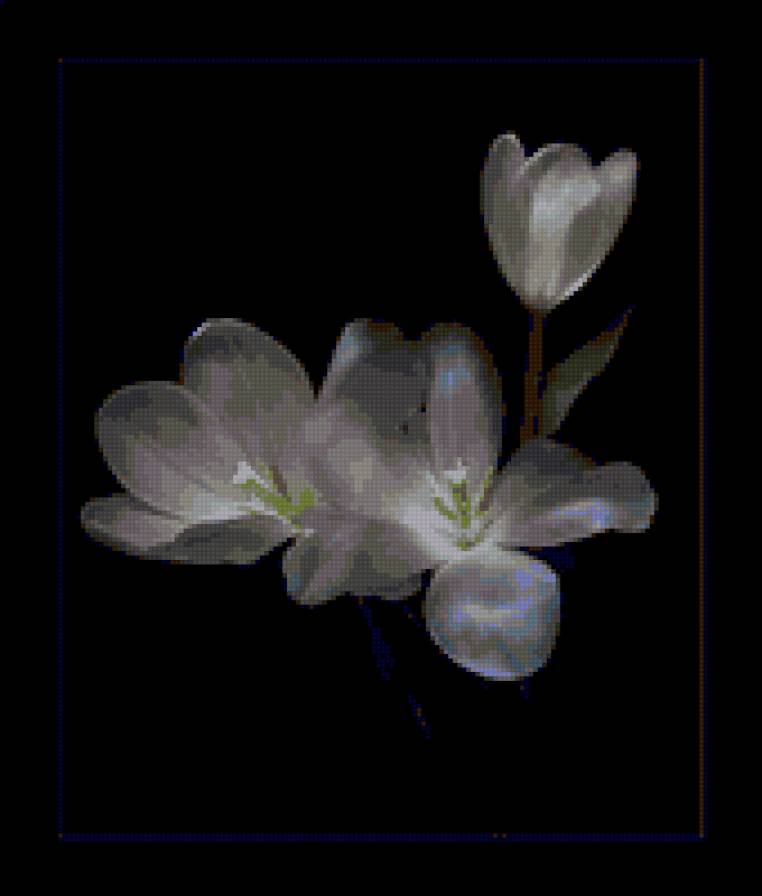 №17846 - предпросмотр