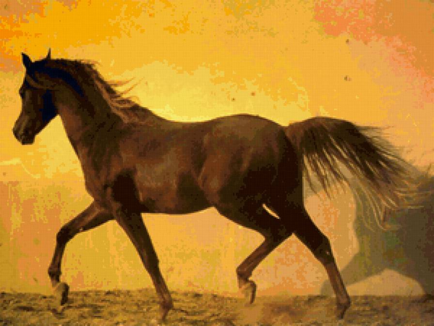 лошадь - лошадь, животные - предпросмотр