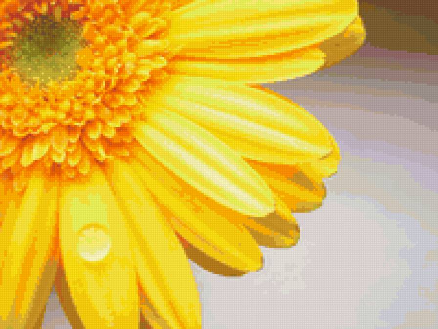 Желтая гербера - желтая гербера, цветок - предпросмотр