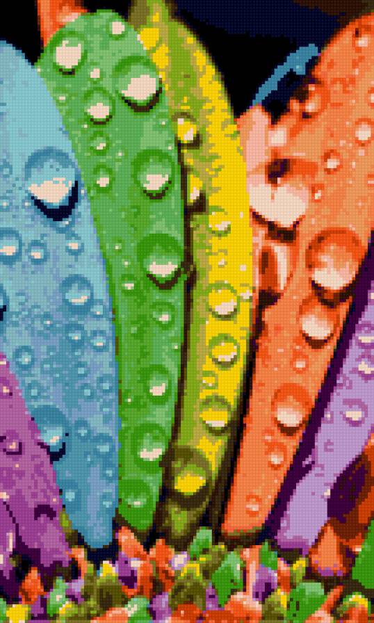 Цветок - предпросмотр