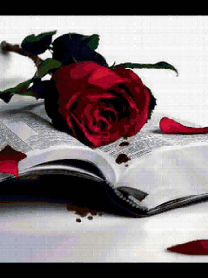 роза на книге - красная роза, роза, книга - предпросмотр