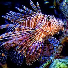 Схема вышивки «№18661»