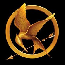 Схема вышивки «сойка»