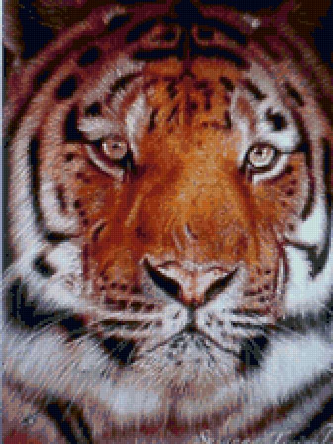 тигр - животные, природа - предпросмотр