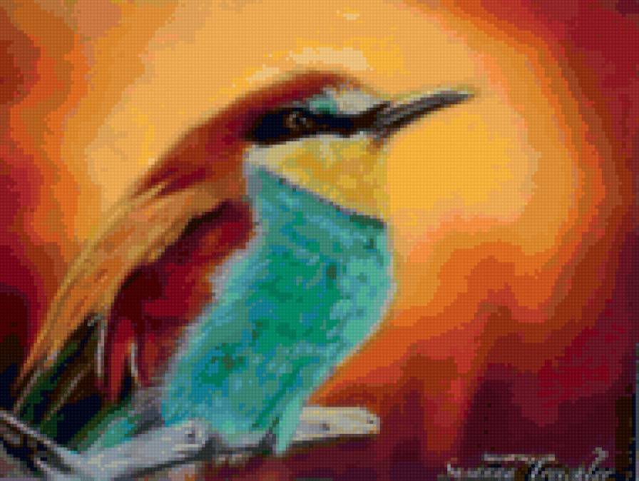 райская пташка - животные, природа - предпросмотр