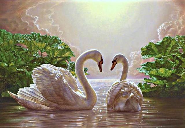 Лебединая верность - птицы. лебеди - оригинал