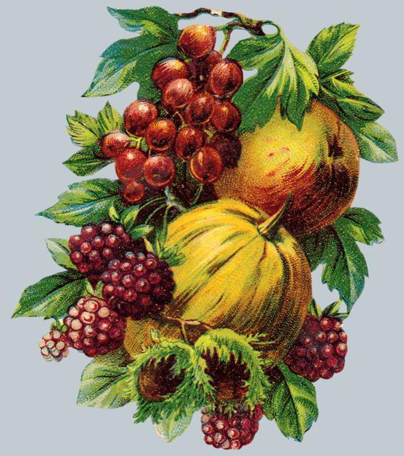 №19187 - оригинал