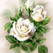Оригинал схемы вышивки «белые розы» (№19561)