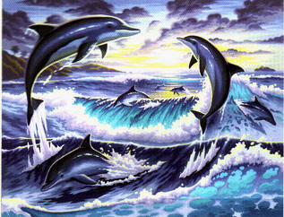 дельфины - животные - оригинал