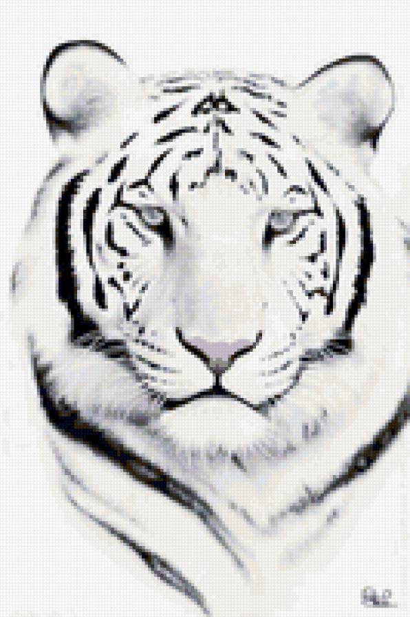 Белый тигр - предпросмотр
