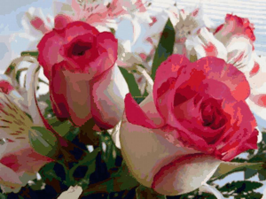 розы - природа, букет, цветы, роза - предпросмотр