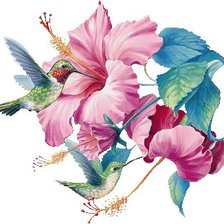 Оригинал схемы вышивки «цветы и колибри» (№20074)
