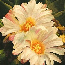 Схема вышивки «цветы»