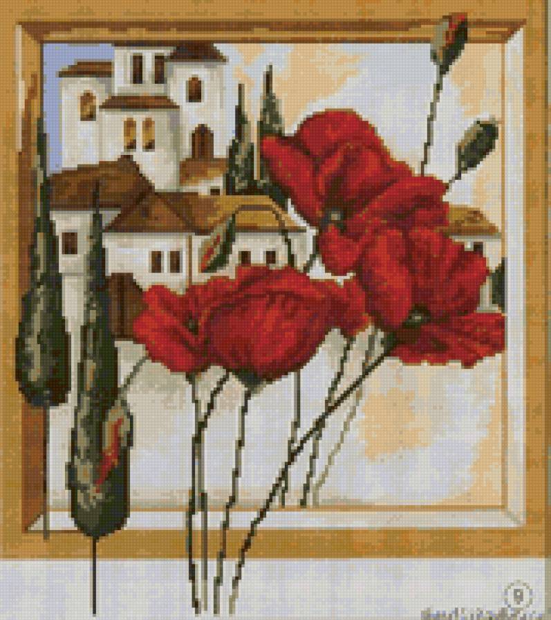 маковая Италия - цветы, цветок, маки, италия - предпросмотр