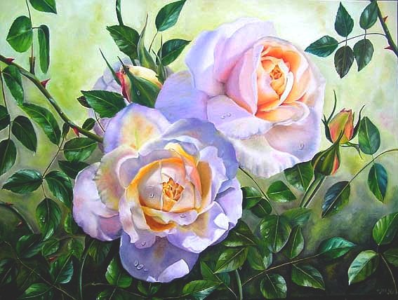 №20390 - оригинал