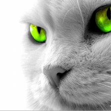 Схема вышивки «кот зеленые глаза»
