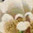Предпросмотр схемы вышивки «Белые розы» (№20554)