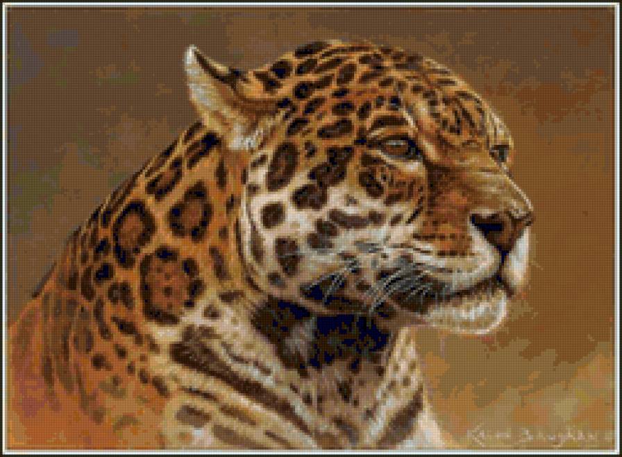 №20637 - кошки, животные - предпросмотр