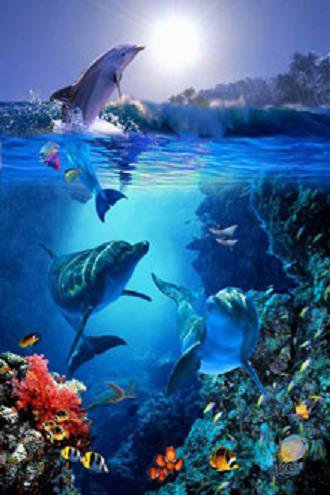 Дельфины - море, пейзаж, животные, живопись, дельфины - оригинал