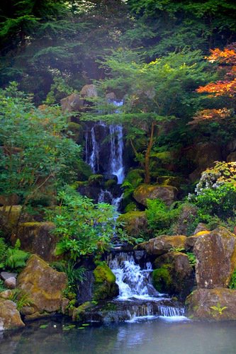 лесной водопад - оригинал