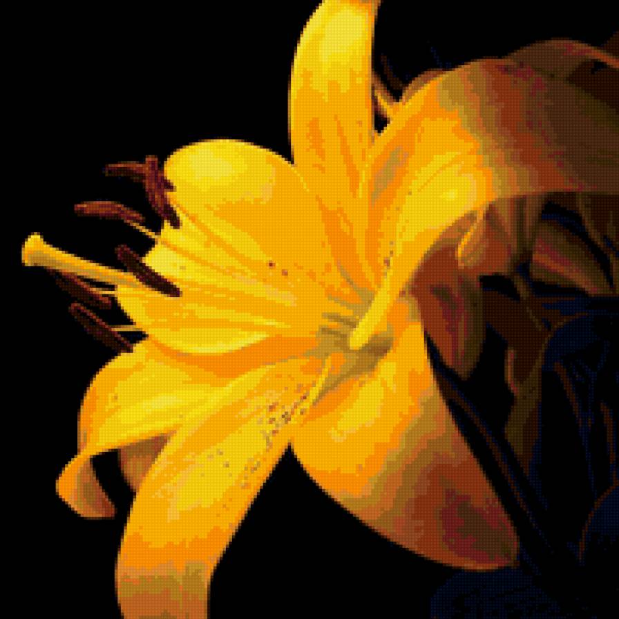 Желтая лилия - лилии, цветы, цветок, лилия - предпросмотр