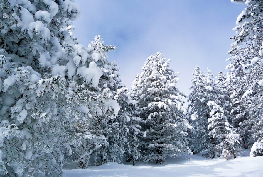 зимушка - зима, пейзаж, лес, природа - оригинал