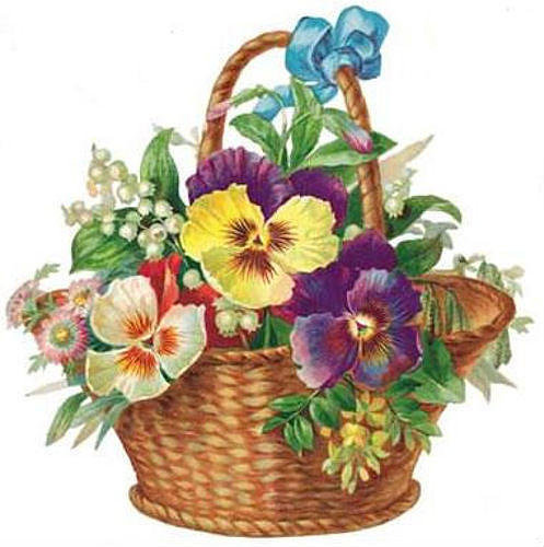 Анютины глазки 3 - цветочки, красота, анютины глазки, картинка, фиалки, цветы - оригинал