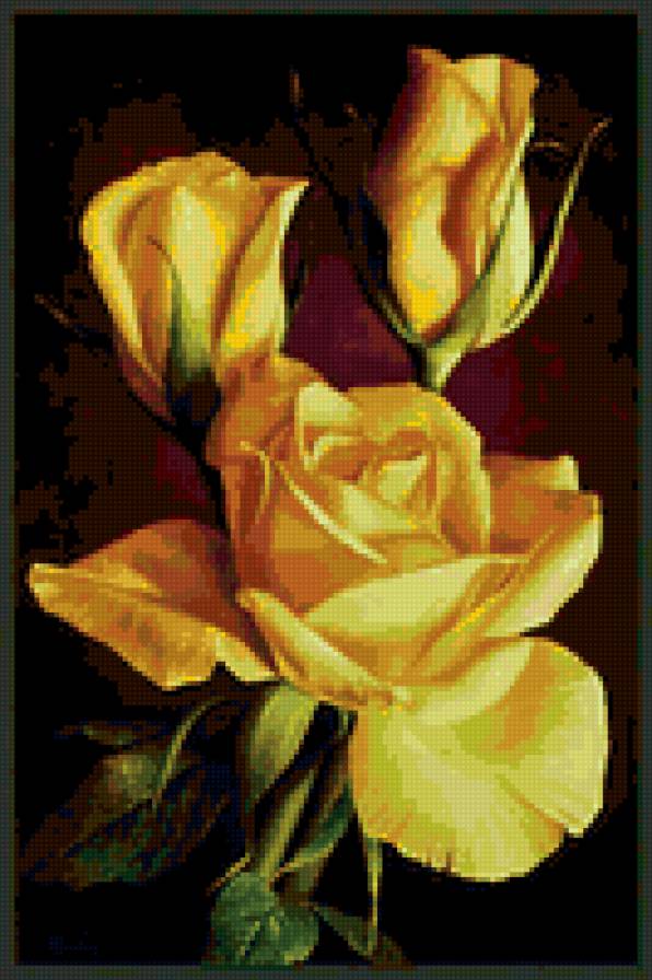 Роза - розы, цветок, цветы - предпросмотр