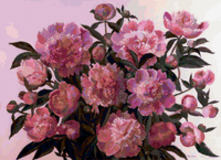 пионы - пионы - предпросмотр