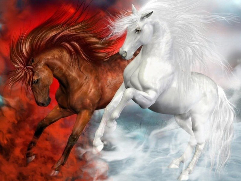№ 54576985 - белый конь, конь, лошадь - оригинал