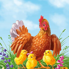 курочка и цыплята
