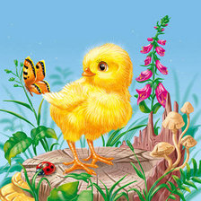 Схема вышивки «цыпленок»