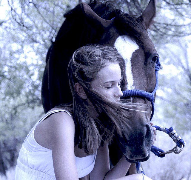 № 5486798 - девушка, конь, лошадь - оригинал
