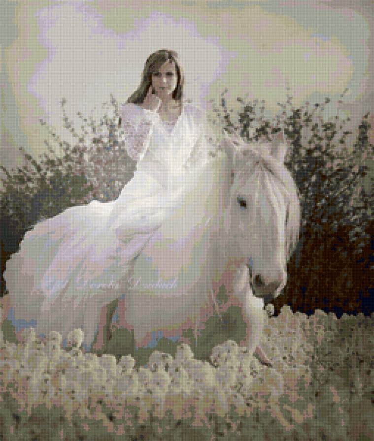 невеста на коне - белая лошадь, кони, девушка в свадебном - предпросмотр