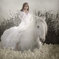 Оригинал схемы вышивки «невеста на коне» (№21110)