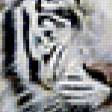 Предпросмотр схемы вышивки «парочка белых тигров» (№21367)