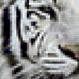 Предпросмотр схемы вышивки «парочка белых тигров» (№21372)