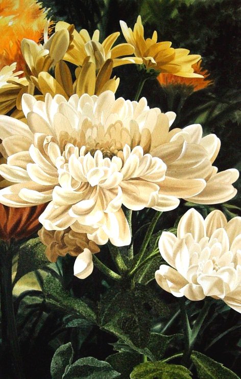 Хризантемы - цветы - оригинал