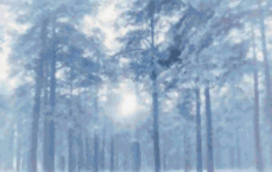 Зимний лес - зима, лес, природа - предпросмотр