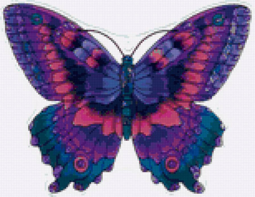 Бабочка - бабочки, насекомые, мир красок, бабочка, букашки - предпросмотр