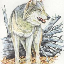 Оригинал схемы вышивки «волк» (№22252)