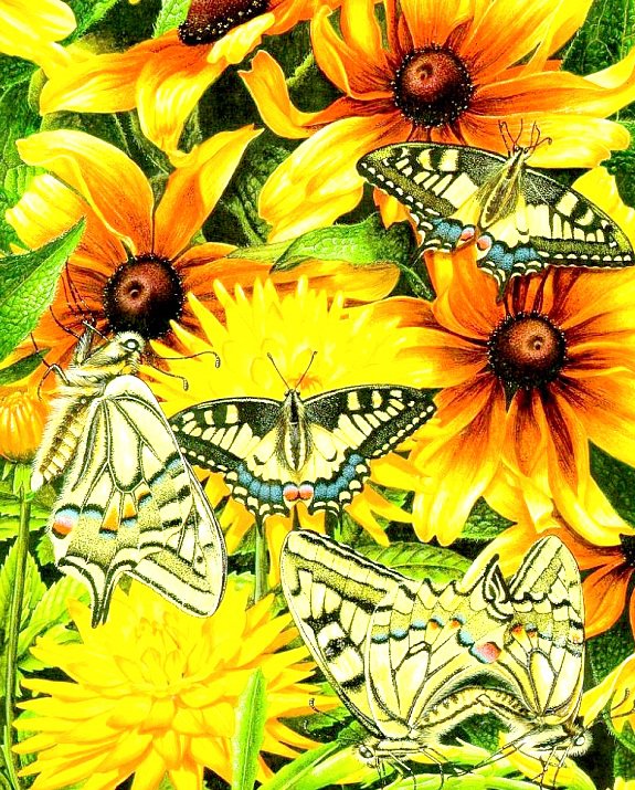 Бабочки - lloyd-jones karen, художник - оригинал