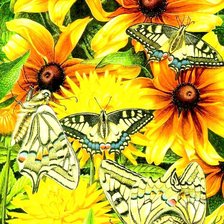 Оригинал схемы вышивки «Бабочки» (№22392)