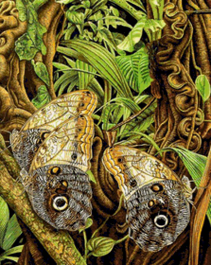 Бабочки3 - художник, lloyd-jones karen - предпросмотр